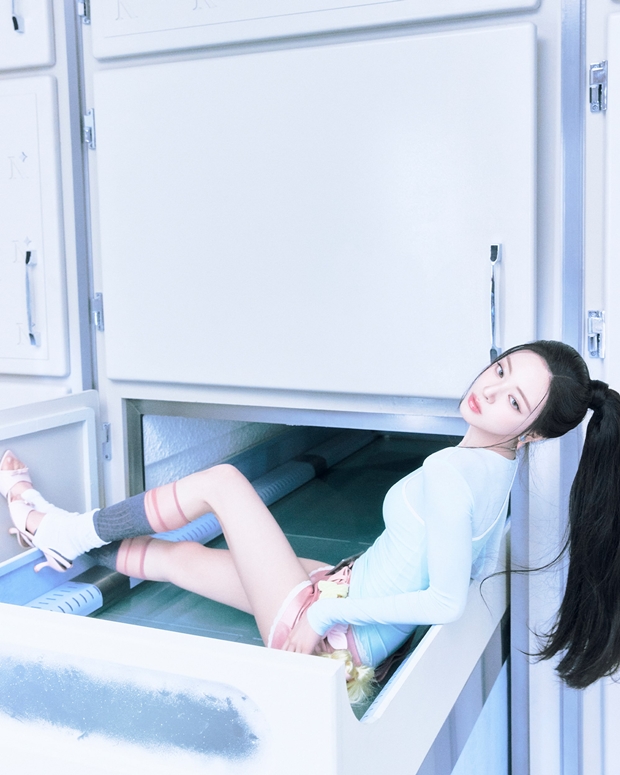 티브이데일리 포토