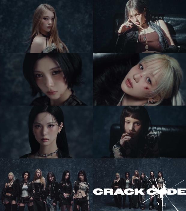 티브이데일리 포토