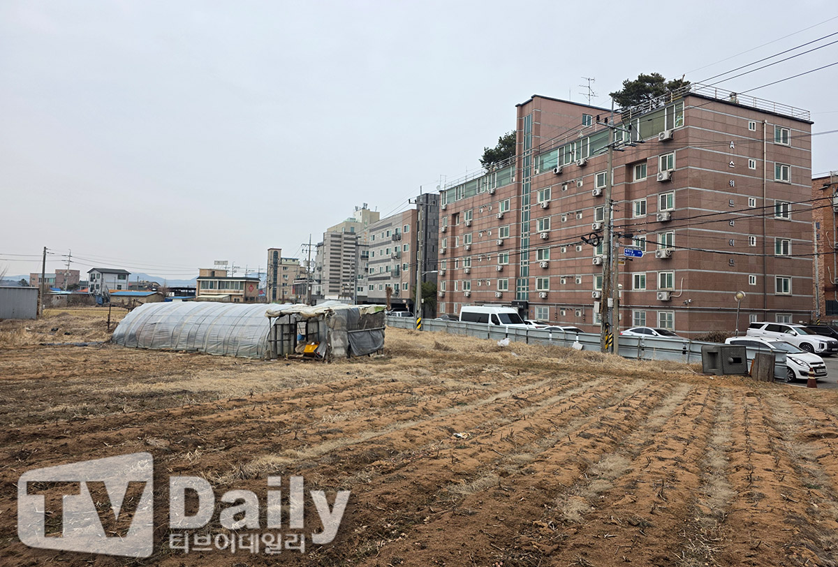 티브이데일리 포토