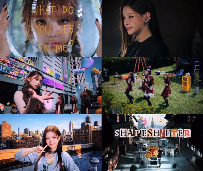 티브이데일리 포토