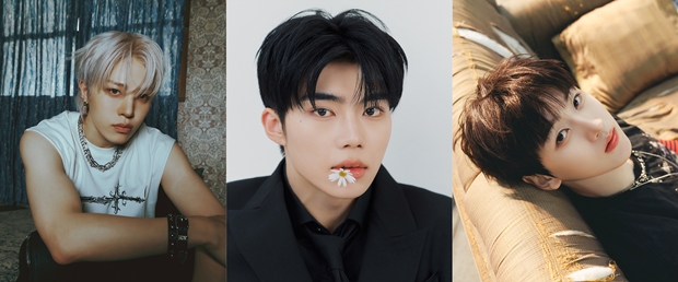 티브이데일리 포토