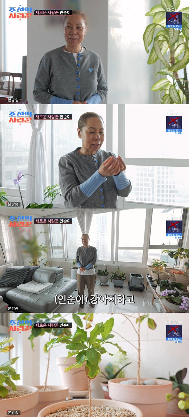 티브이데일리 포토