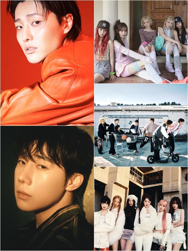 티브이데일리 포토