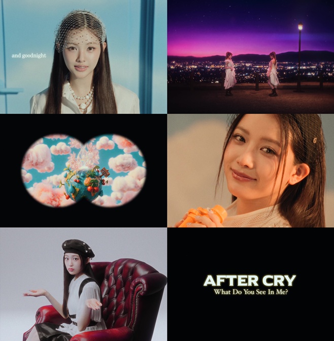 티브이데일리 포토