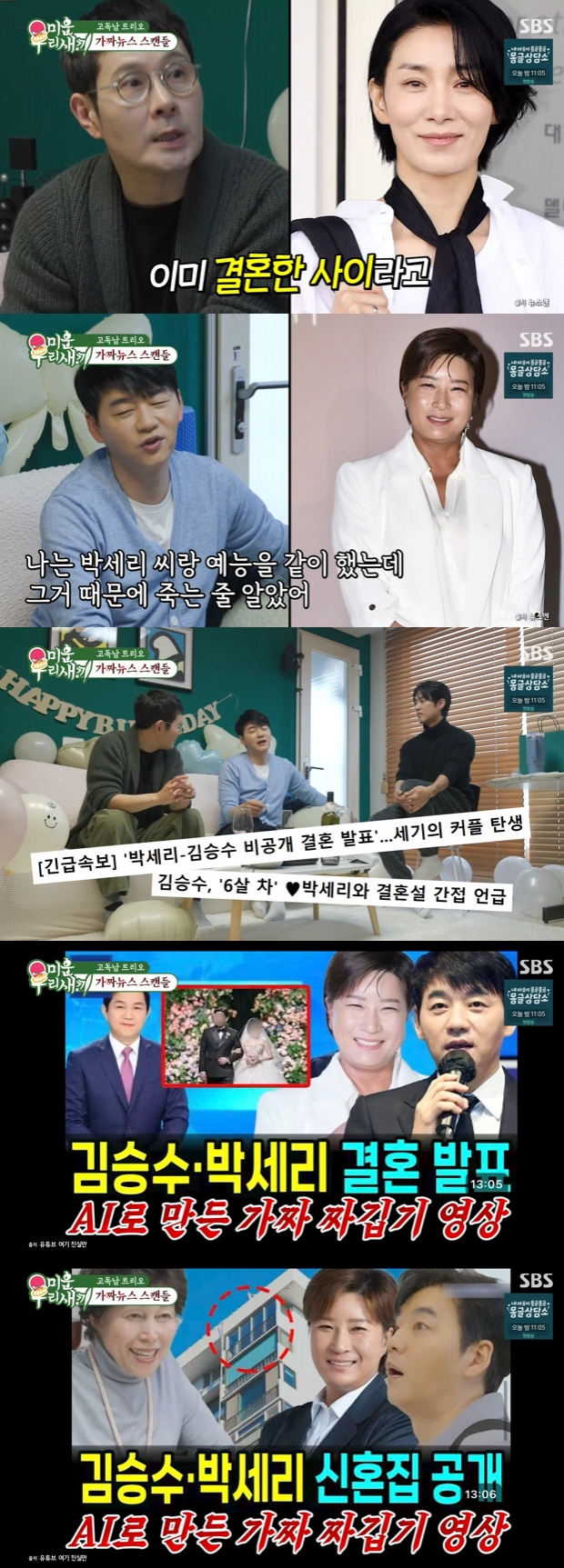 티브이데일리 포토
