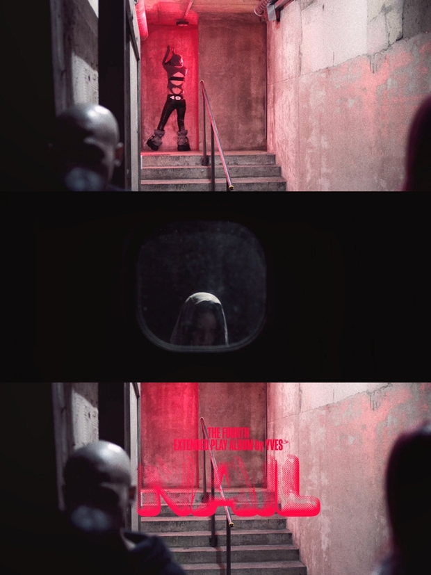 티브이데일리 포토