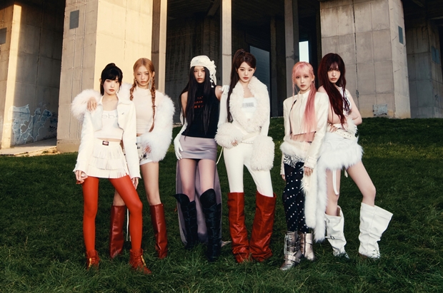 티브이데일리 포토