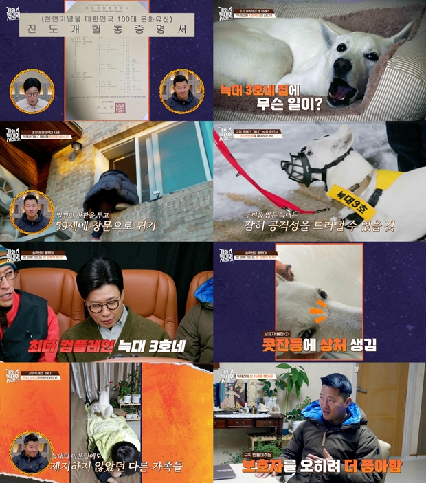 티브이데일리 포토