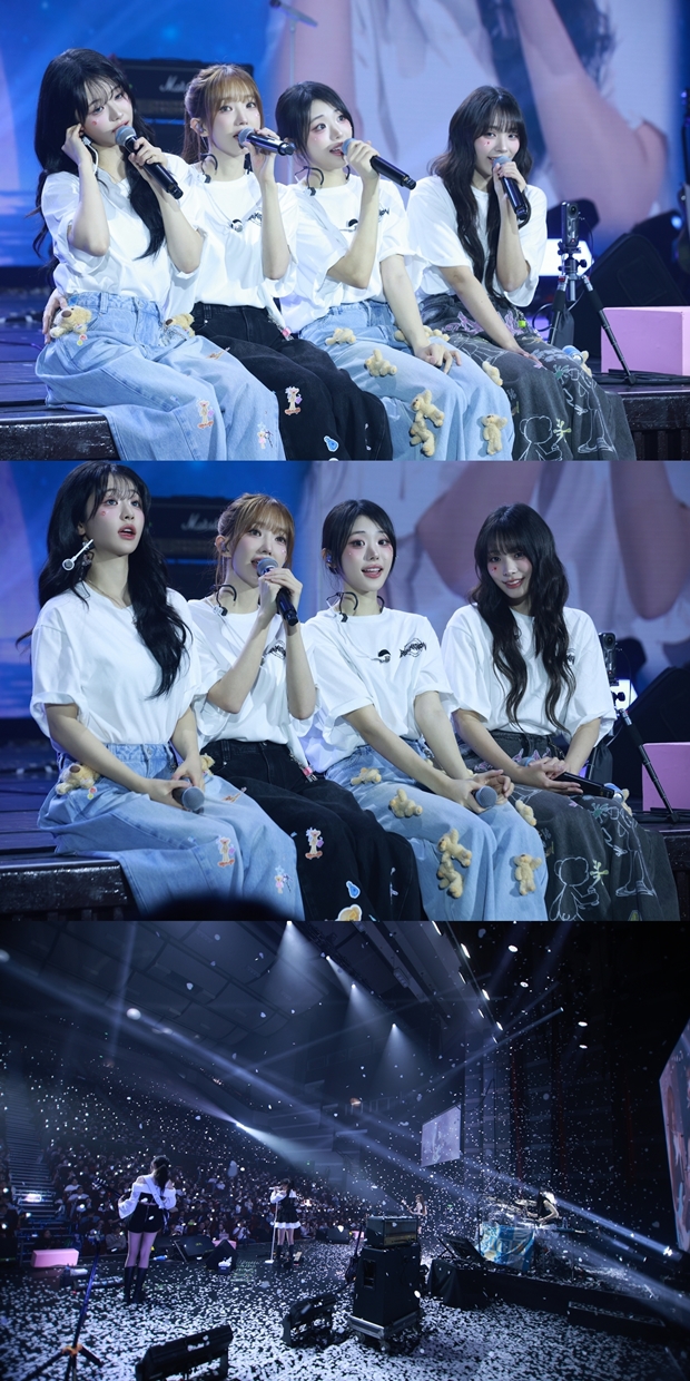 티브이데일리 포토