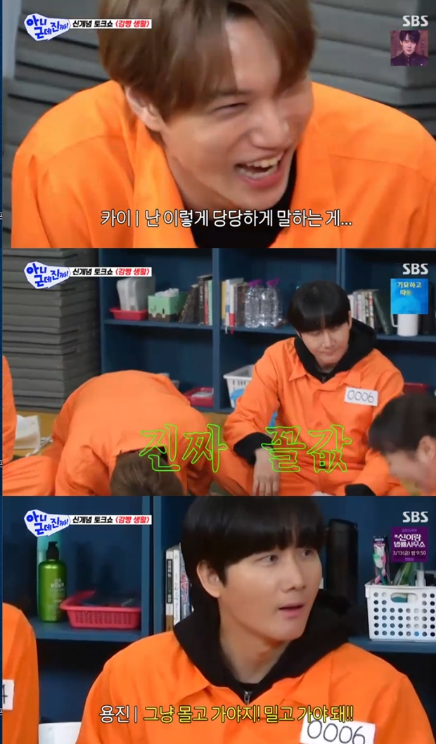 티브이데일리 포토