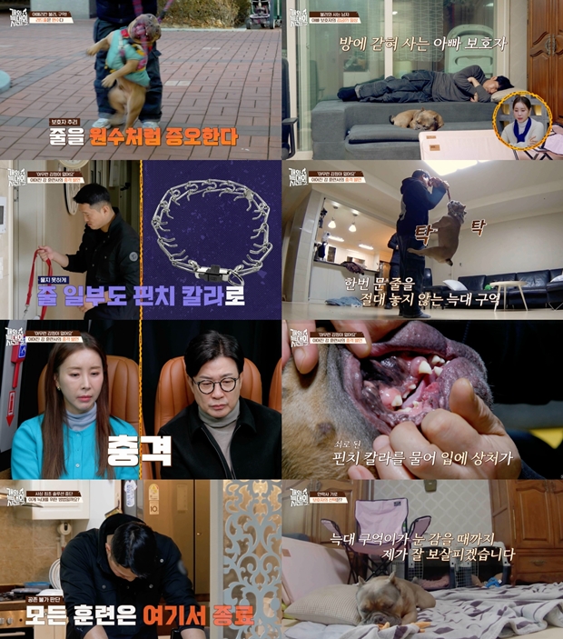 티브이데일리 포토