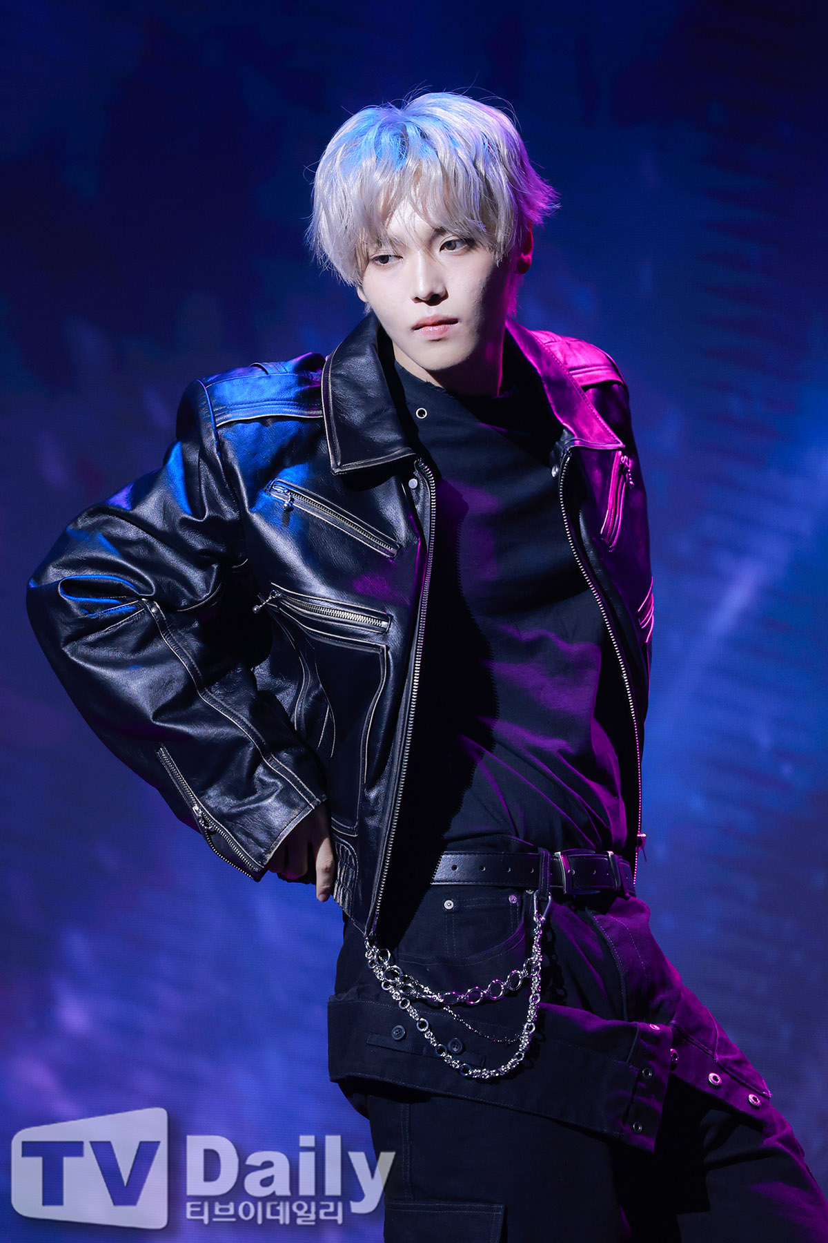 티브이데일리 포토