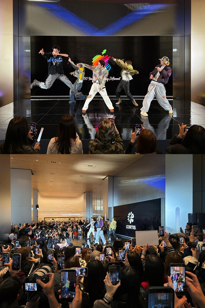 코르티스