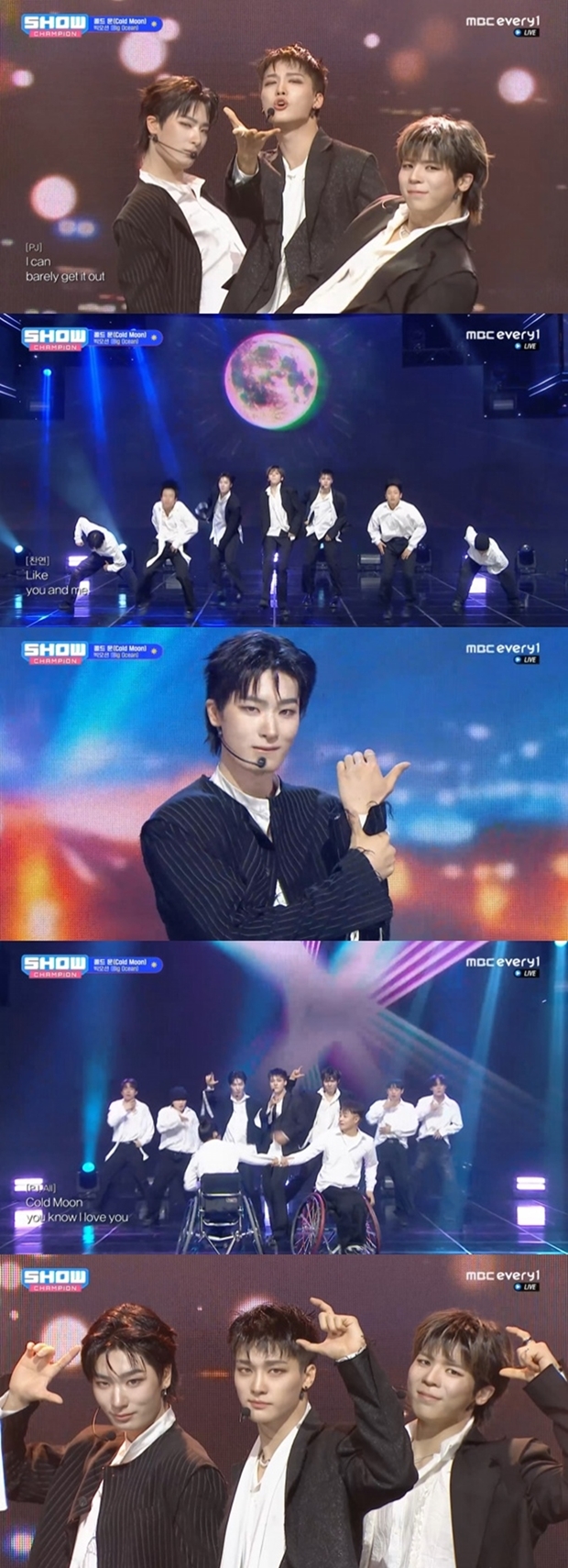 티브이데일리 포토