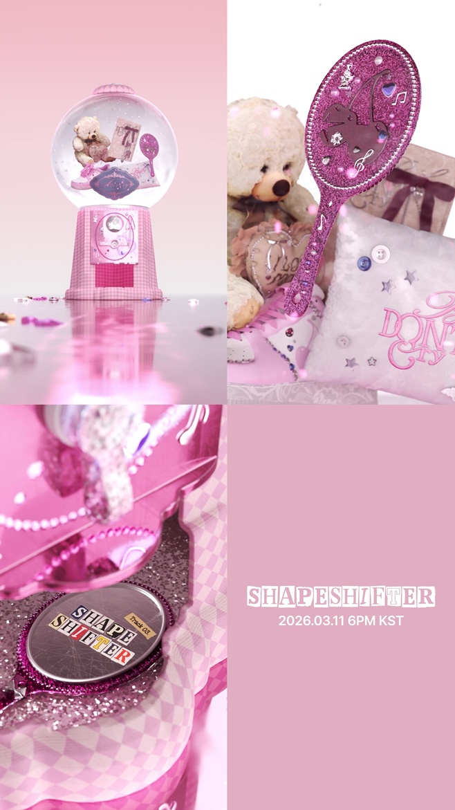 티브이데일리 포토