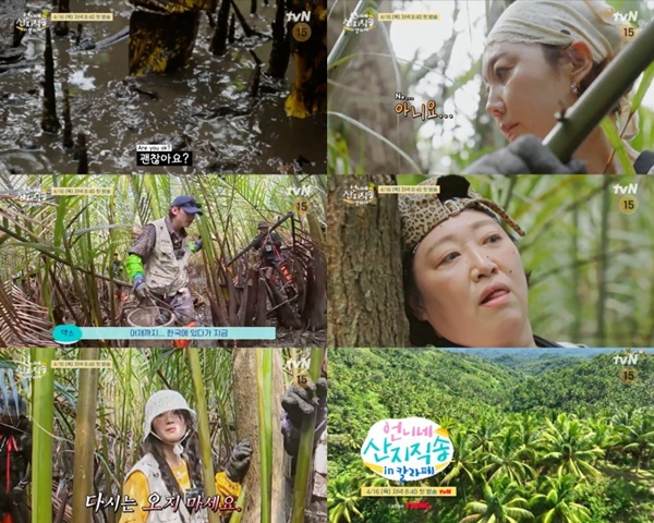 What Awaits in the Mangroves? Discover the Thrills of ‘언니네 산지직송 in 칼라페’ Before Its Launch