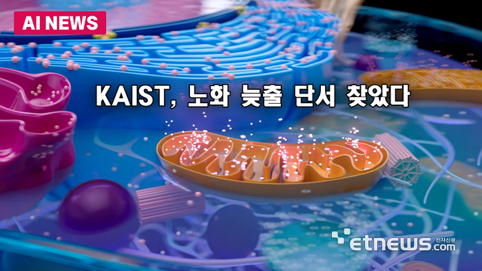 노화 늦출 단서 찾았다