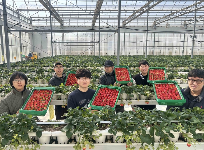 경북 의성의 '진한딸기 공선회' 청년 농부들이 상품과 함께 사진 촬영하고 있다.