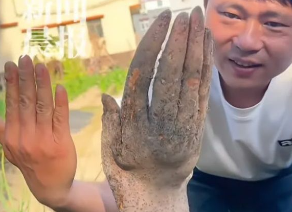 중국에서 실제 사람의 손을 닮은 독특한 형태의 참마가 발견돼 눈길을 끌고 있다. 사진=SCMP