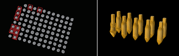 사진=자비스 제공