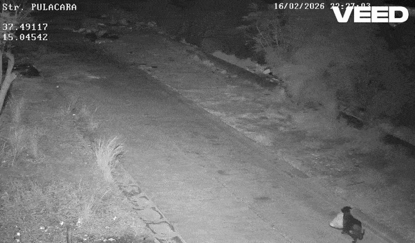 이탈리아에서 한 견주가 훈련된 반려견을 이용해 쓰레기를 무단 투기하는 모습. 사진=페이스북(Comune di Catania)