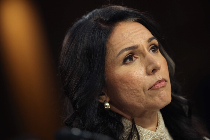 털시 개버드 미 국가정보국장. 사진=AFP 연합뉴스