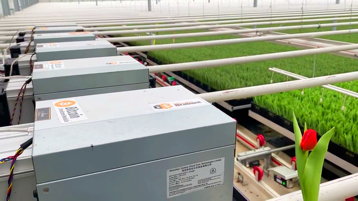 출처=엑스(BloemBitcoin)