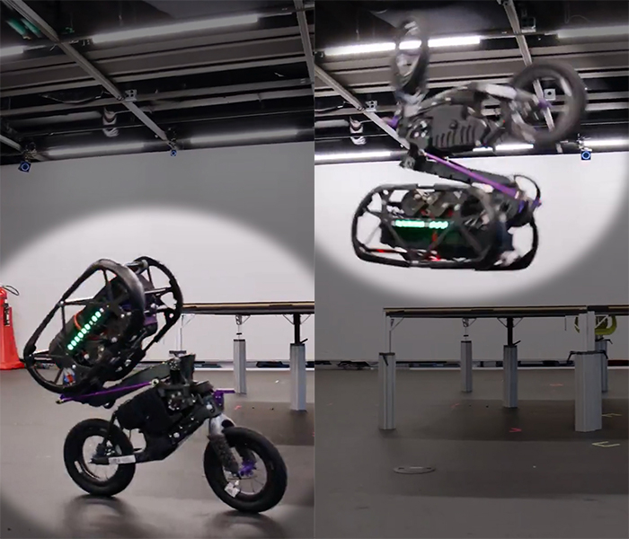 출처=엑스(rai_inst)