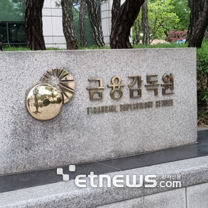 [사진= 금융감독원 제공]