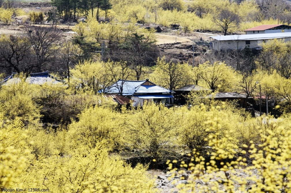 Woonja Kim\'s 123RF photo