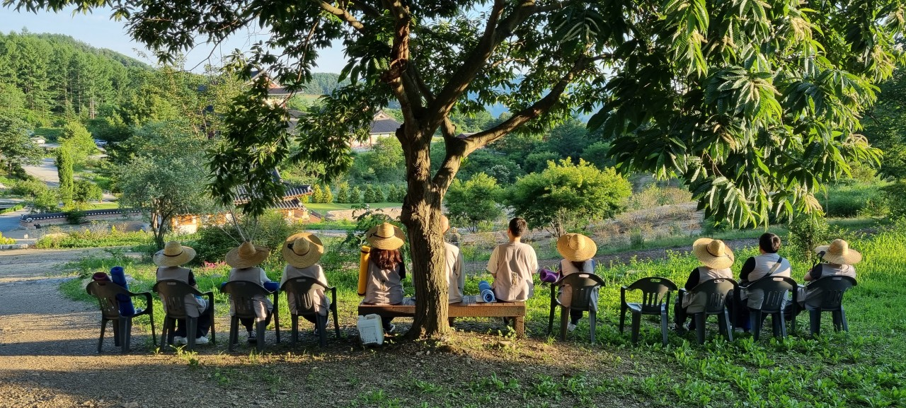 Explore Korea’s Spiritual Side: 2026 Spring Temple Stay Train Journey on Central Line