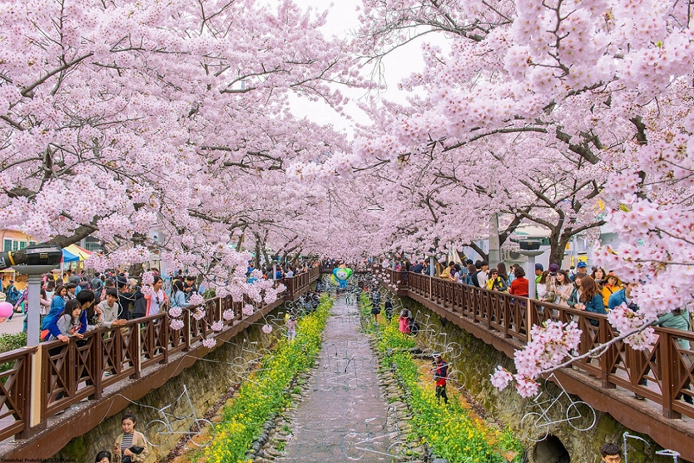 引用：写真