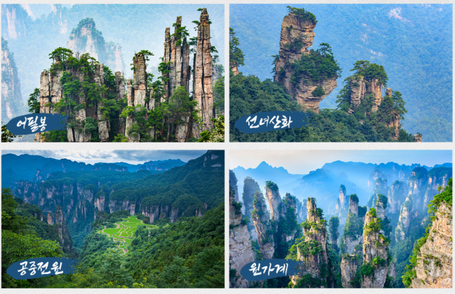 &nbsp;Lotte Tour