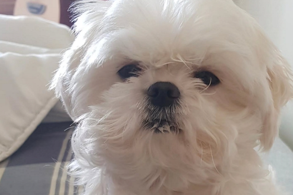 출처: 구성환 SNS