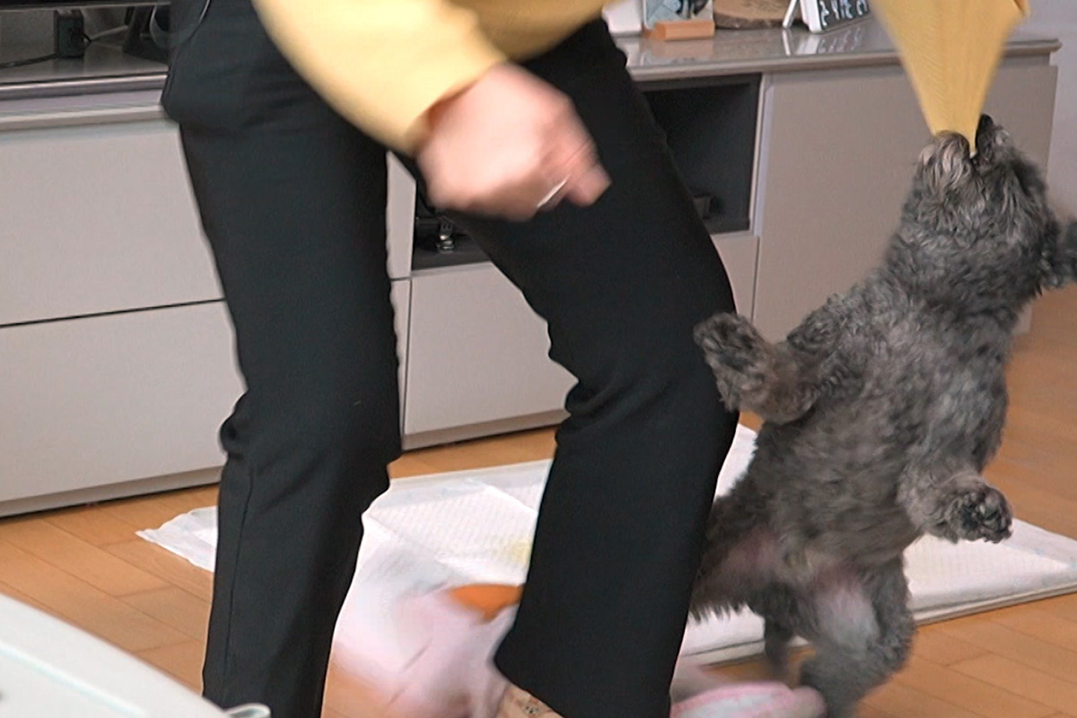 출처 : KBS2 ‘개는 훌륭하다’