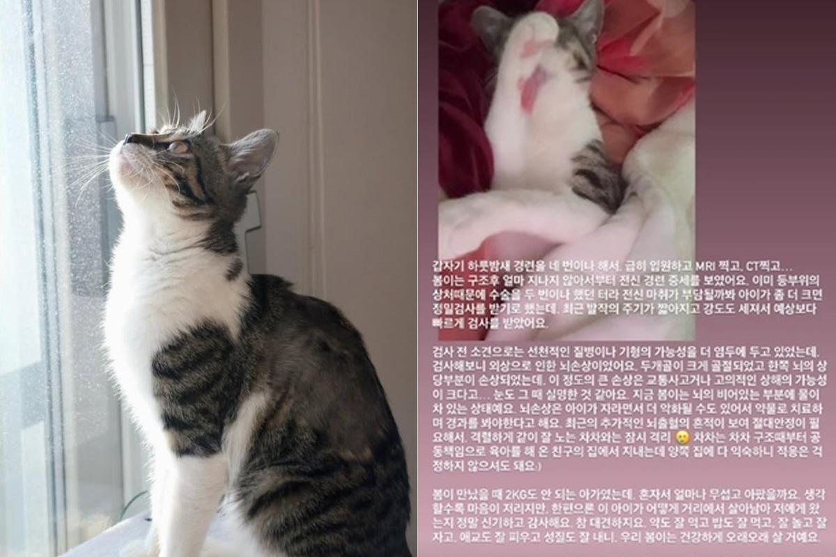 출처 : 옥자연 SNS