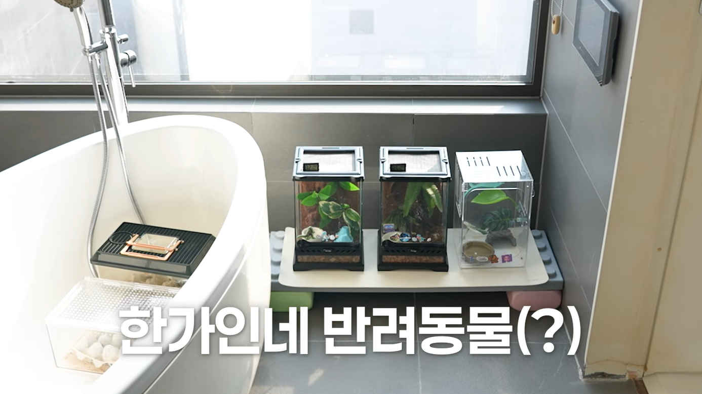출처: 유튜브 &lsquo;자유부인 한가인&rsquo; 캡처