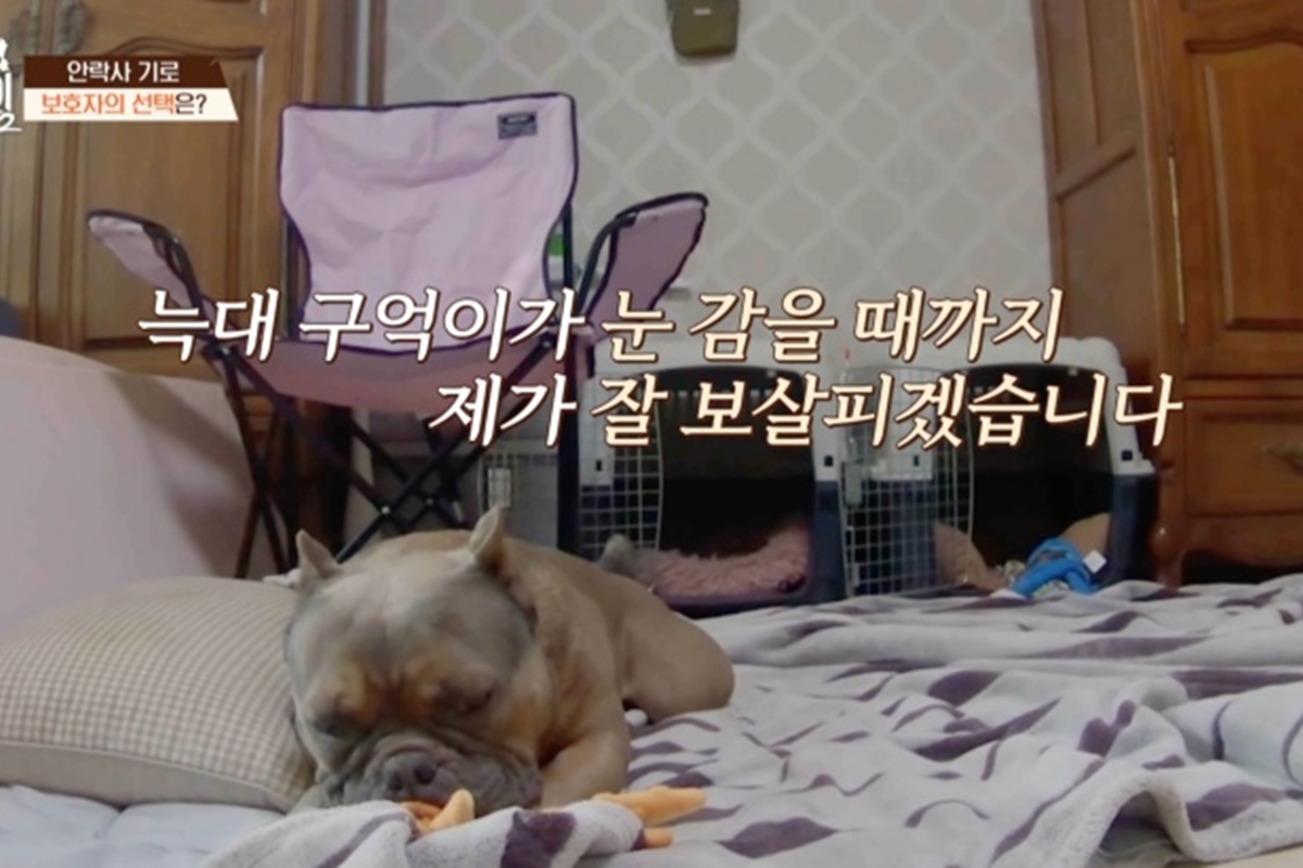 출처: 채널A ‘개와 늑대의 시간2’