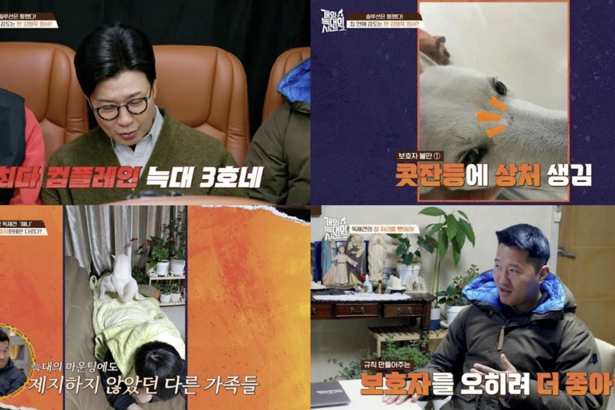 출처: 채널A ‘개와 늑대의 시간2’