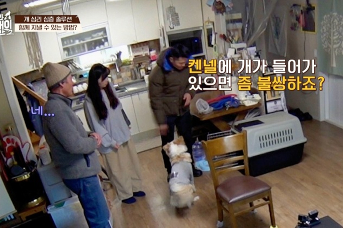 출처: 채널A '개와 늑대의 시간2' 