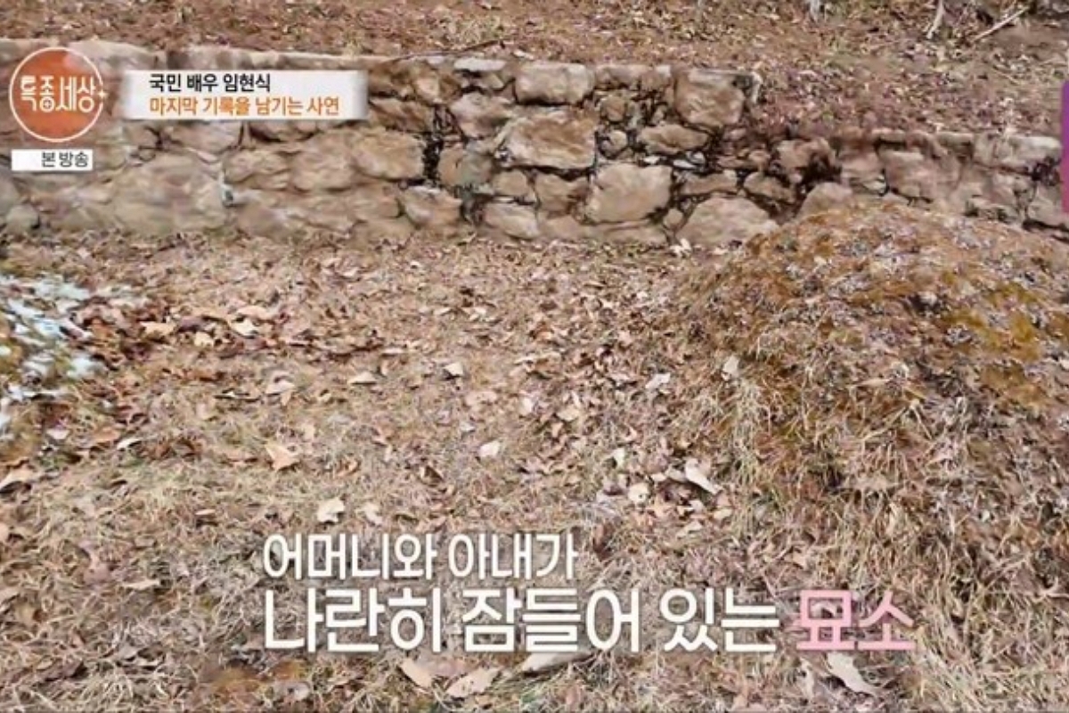 출처: MBN ‘특종세상’ 