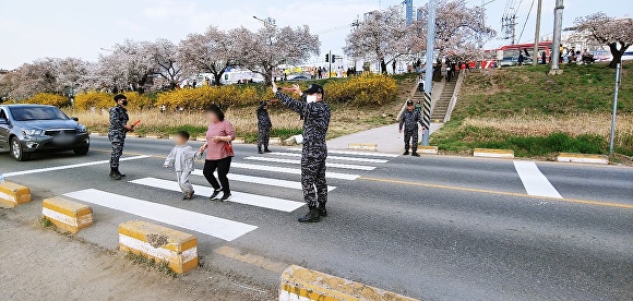 Cherry Blossom Season: How Cheongju Ensures Safety from April 1-12