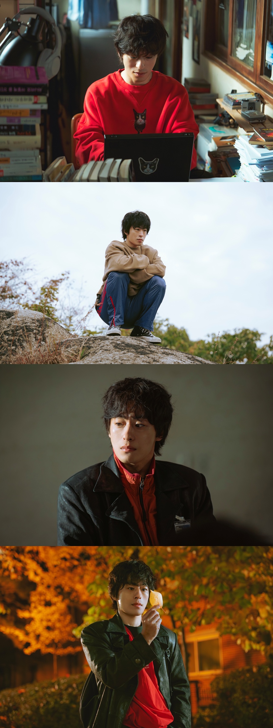 引用：スタジオフェニックス、SLL、スタジオフロー