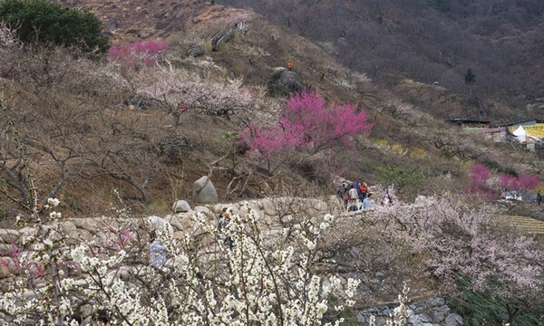 사진=유토이미지