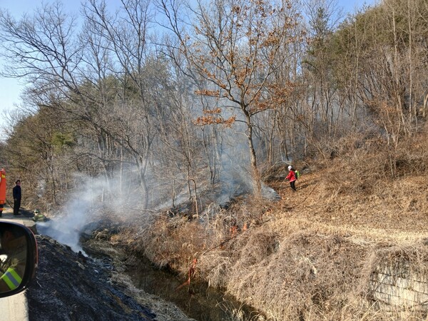 Photo: North Gyeongsang Fire Department