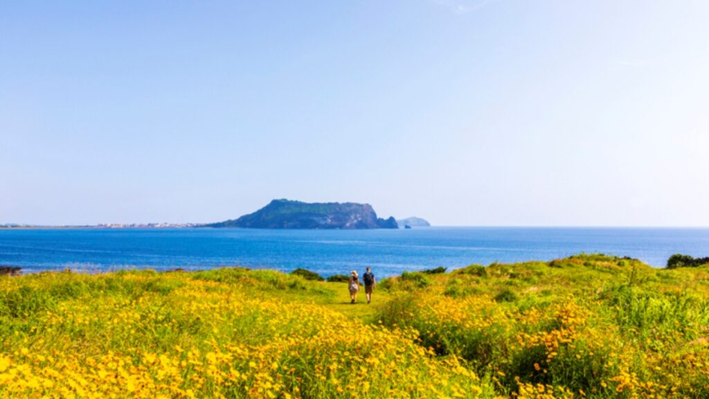제주