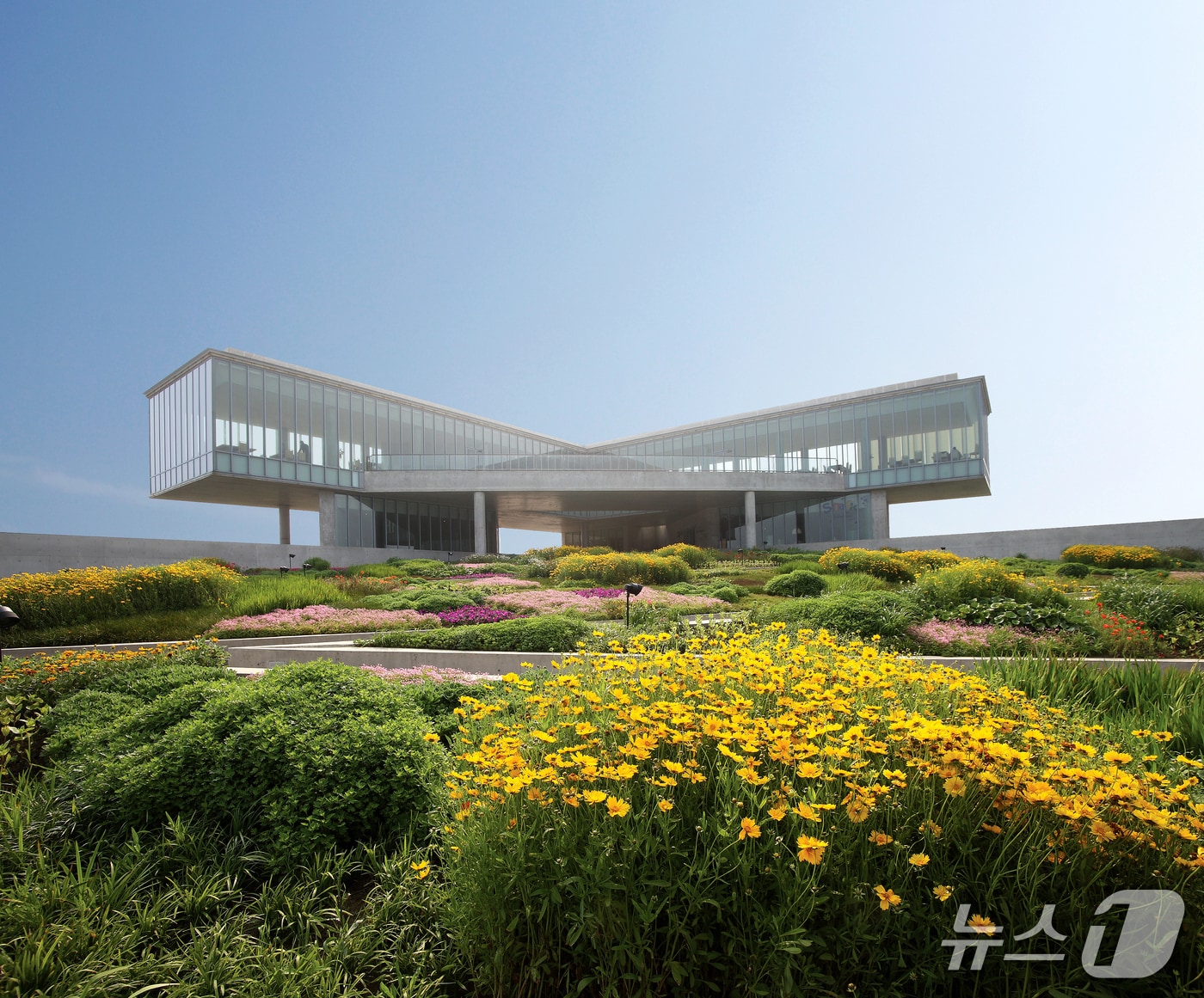 제주 섭지코지 품은 '글라스 하우스'…베이커리 카페로 새 단장 - 뉴스1