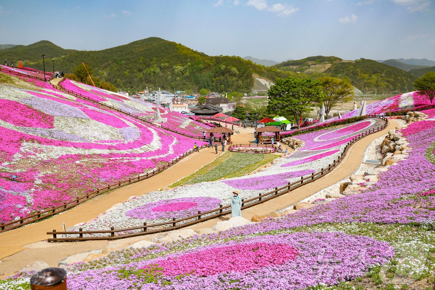 3만㎡ 꽃천지…산청 '생초국제조각공원 꽃잔디 축제' 4월 11~20일 - 뉴스1