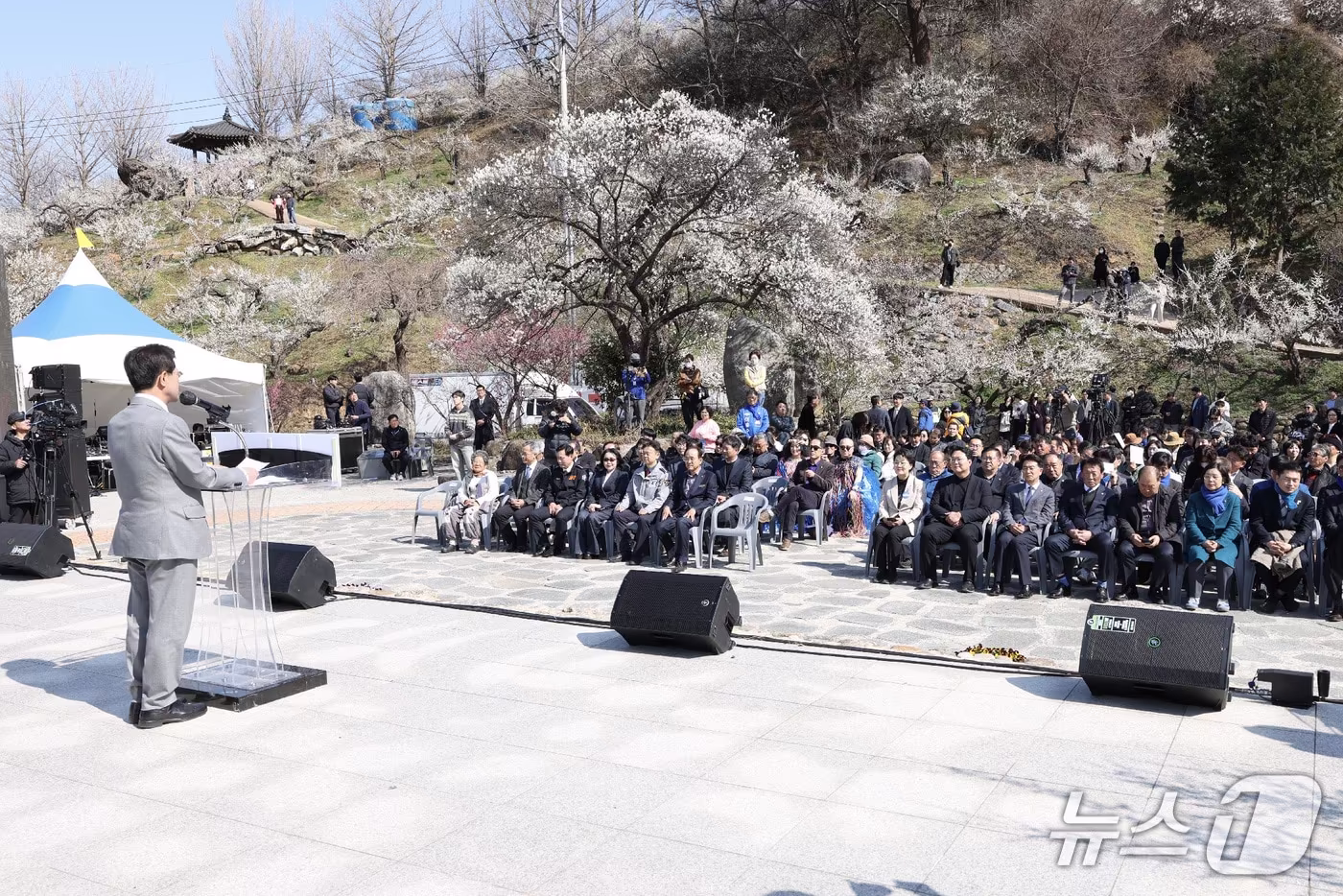 봄의 시작' 광양매화축제 개막…10일간 대장정 돌입 - 뉴스1