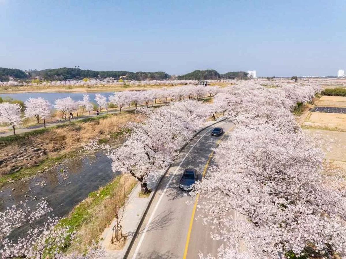 Korea Tourism Organization
